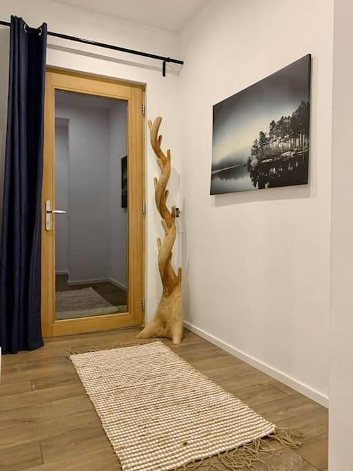 Gîte pour 4 personnes, animaux acceptés à Hangenbieten - 4