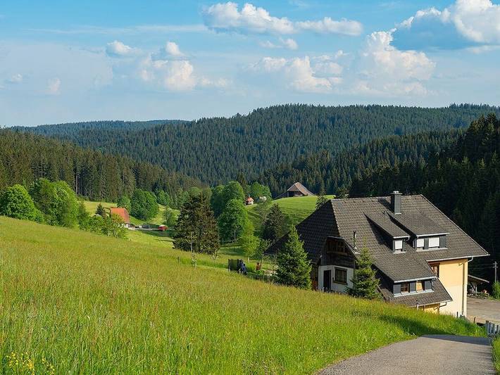 2 Bauernhof Kleinklausenhof in Vöhrenbach, Mittlerer Schwarzwald