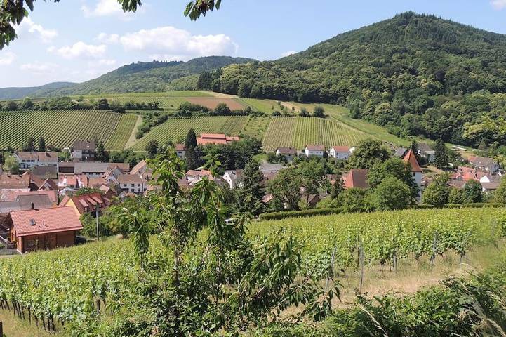 Ferienwohnung für 3 Personen, mit Sauna und Garten in Leinsweiler - 2