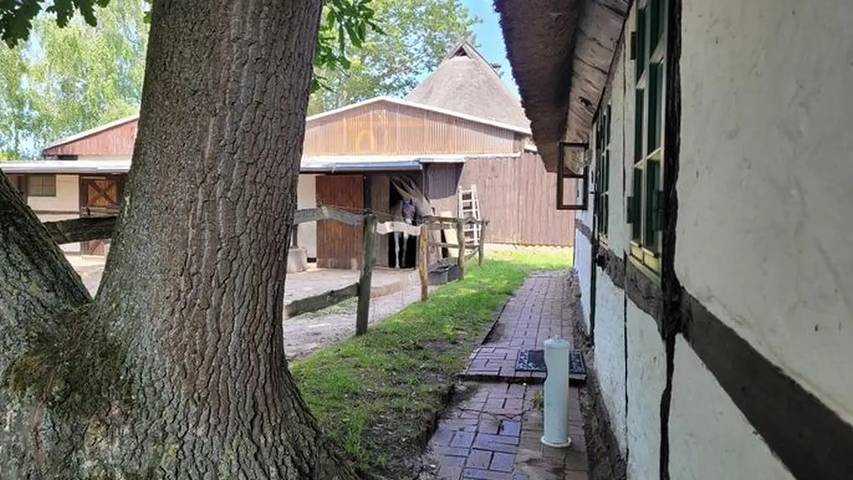 Ferienwohnung für 4 Personen, mit Terrasse und Garten in Biendorf - 2