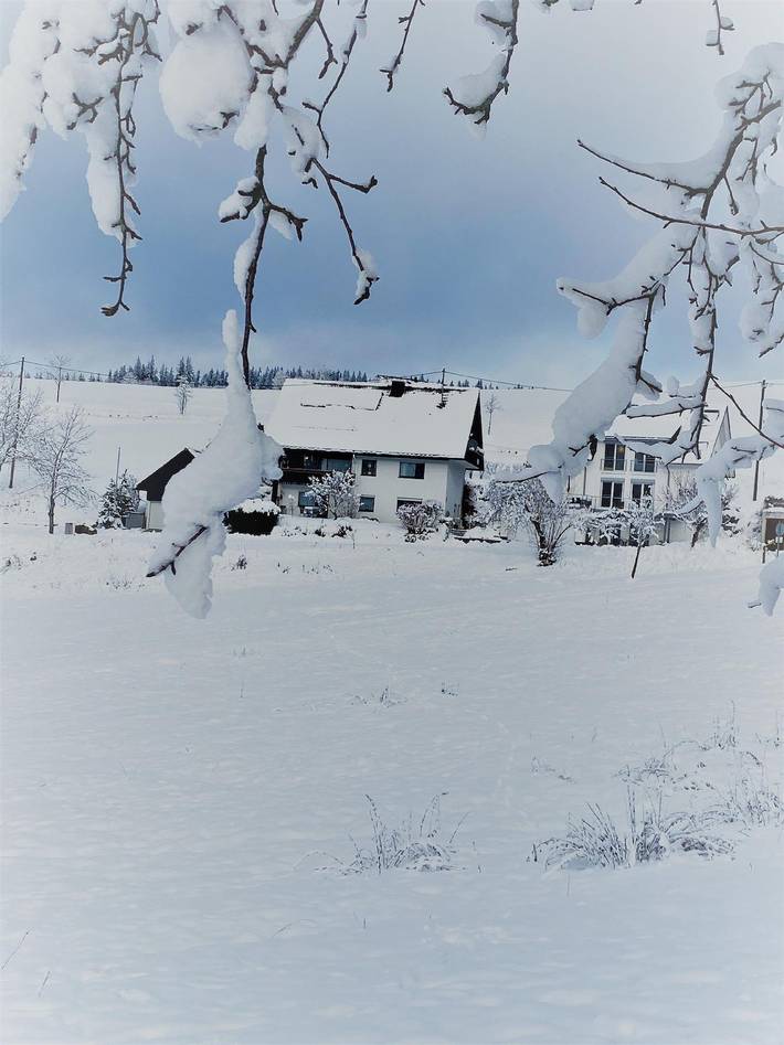 Ferienwohnung für 5 Personen, mit Terrasse und Garten, mit Haustier in Titisee-Neustadt
