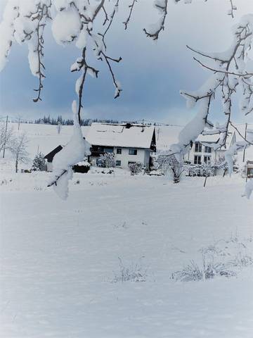 Ferienwohnung für 5 Personen, mit Garten und Terrasse, mit Haustier in Titisee-Neustadt