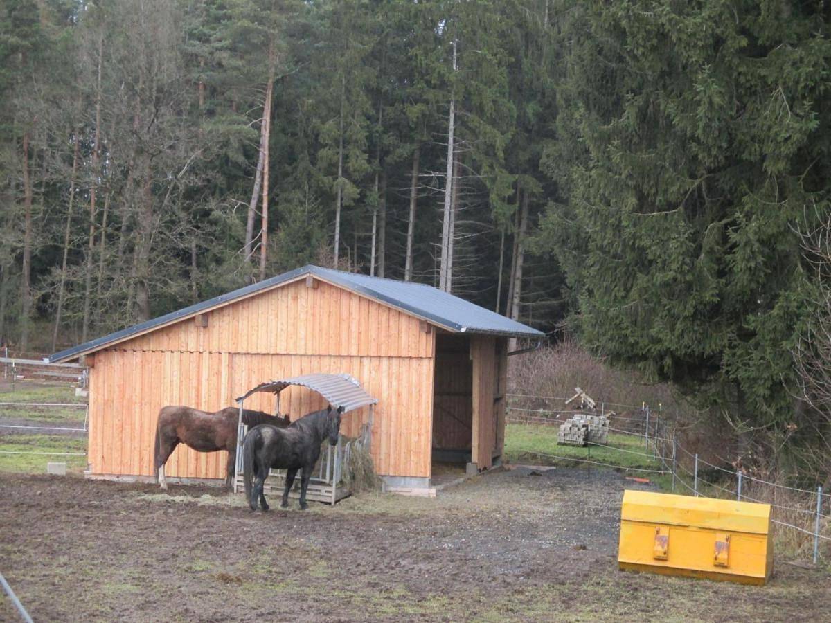 Ganze Wohnung, Bärenhof in Tirschenreuth, Ostbayern