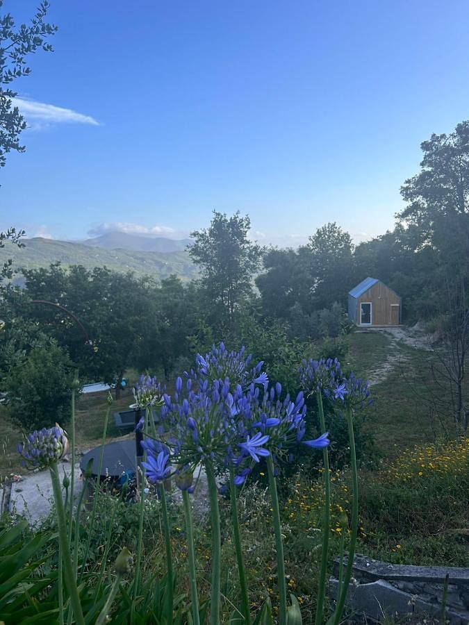 Monkey Tiny Barnhouse with amazing views at Zevariclub! in Folhadosa, Seia