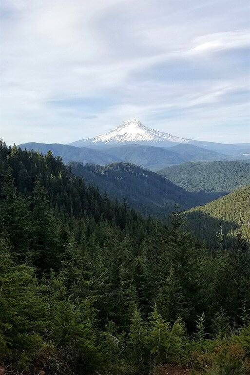 Log Cabin for 8 Guests in Rhododendron, Mount Hood
