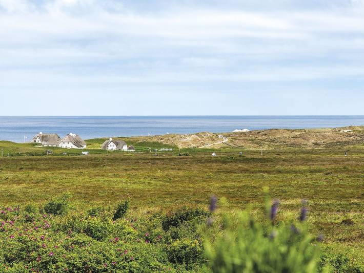 Ganze Ferienwohnung, Nautilus 12 von A&M in Nordfriesische Inseln (Schleswig-Holstein) (Schleswig-Holstein), Kampen (Sylt)