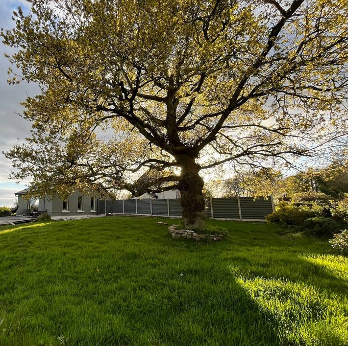 Ferienhaus für 2 Personen, mit Terrasse und Garten in County Clare - 3