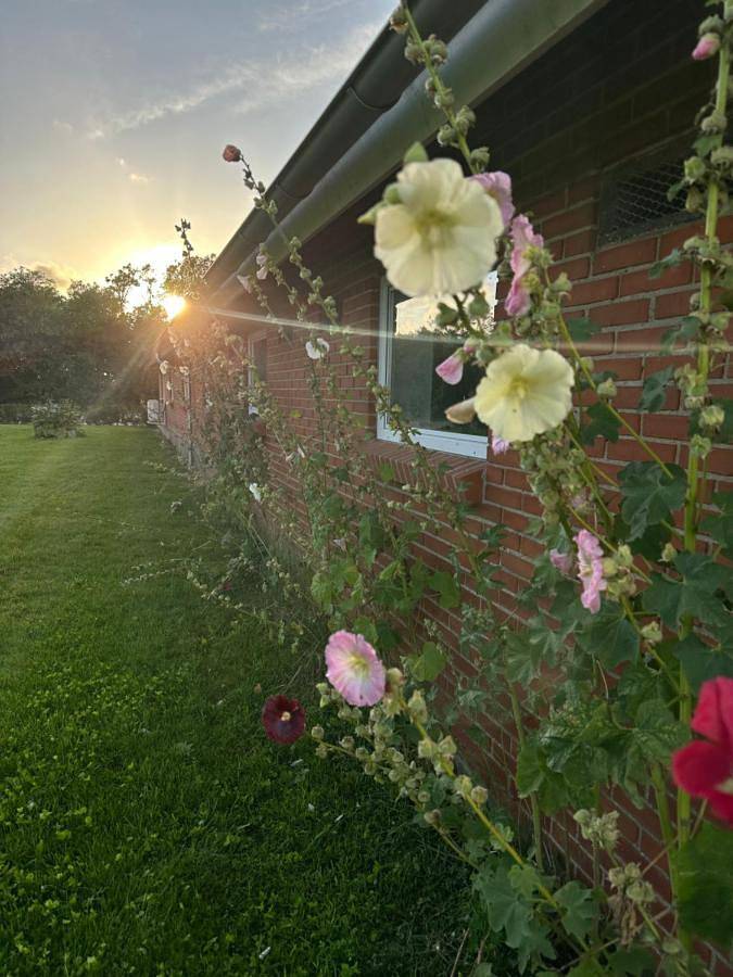 Bed and breakfast for 4 personer, med udsigt og have - 1
