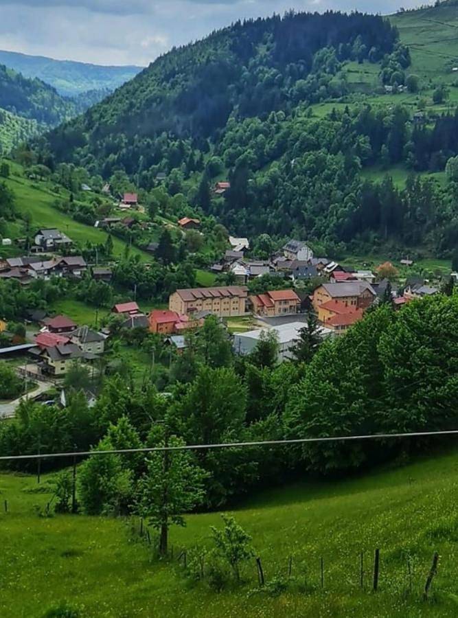 Double Room in Alba (Romania)