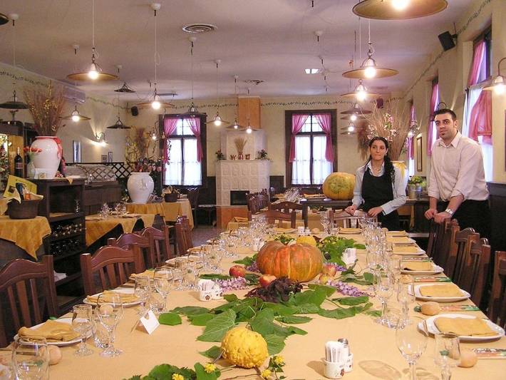 Gîte pour 4 personnes, avec jardin ainsi que piscine et terrasse à Vivaro