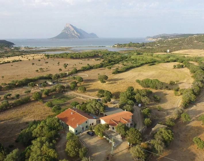 B&b per 3 persone, con Terrazza e Giardino a Loiri Porto San Paolo