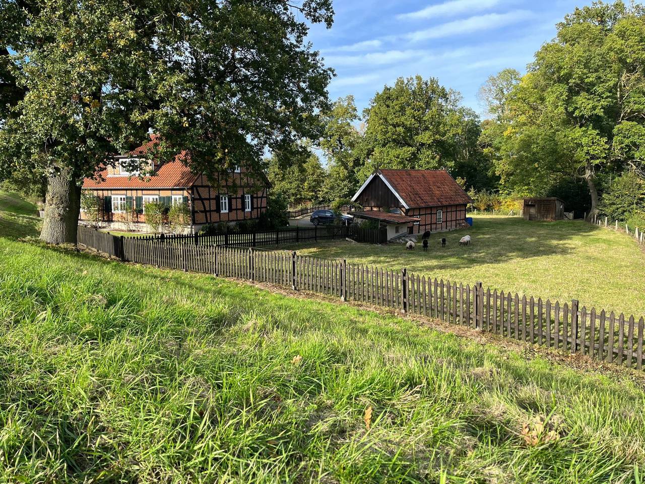 Haus Elbrose inmitten von Rosen mit Elbdeichzugang in Lenzerwische, Prignitz