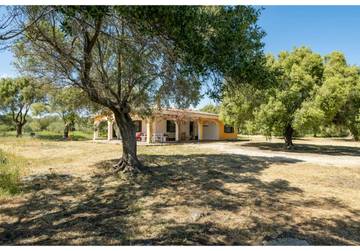 Casa Vacanza per 4 Persone in Orosei, Provincia di Nuoro, Foto 3