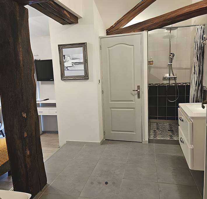 Chambre d’hôte pour 5 personnes, avec jardin à Neuville-de-Poitou - 4