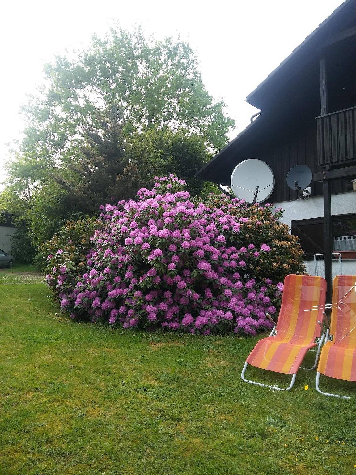 Entire holiday apartment, Fewo Martin in Ferienpark Himmelberg, Thalfang