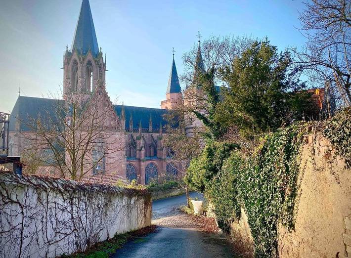 Ferienwohnung für 2 Personen, mit Terrasse und Ausblick in Oppenheim - 3