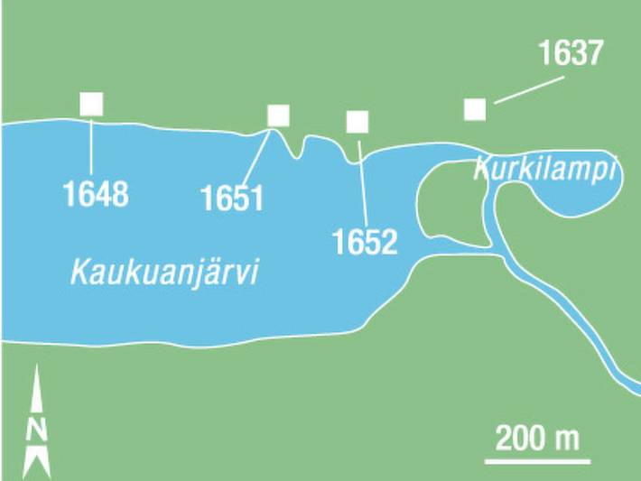 Mäntyaho in Kaukuanjärvi, Lappland