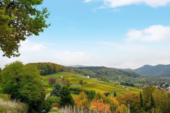 Ferienhaus für 8 Personen, mit Garten in Badenweiler - 4