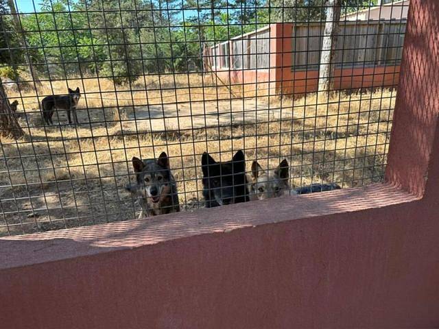 Hôtel pour 2 personnes, avec jardin à Ginasservis - 3