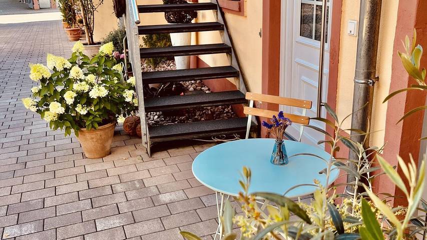 Ferienwohnung für 6 Personen, mit Terrasse in Neustadt an der Weinstraße - 4