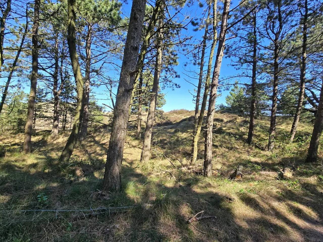 8 person ferie hjemme i Rømø-By Traum in Kongsmark, Rømø