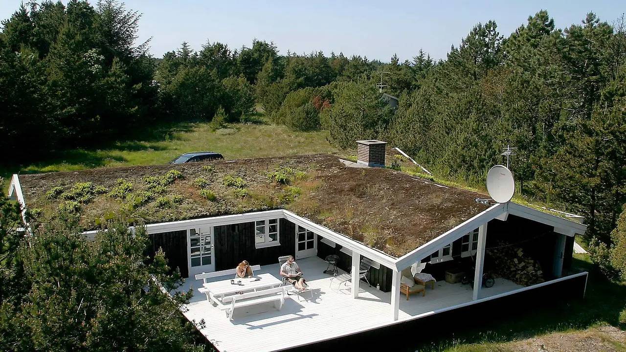 Ferienhaus für 6 Personen (100 m²) in Ålbæk in Ålbæk, Tannisbucht