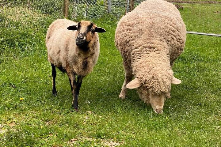 Appartement de vacances pour 6 personnes