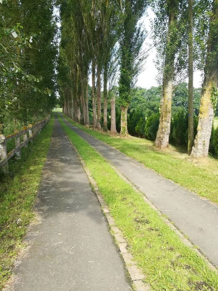 Location de vacances pour 5 personnes, avec jacuzzi et jardin à Bégard - 3