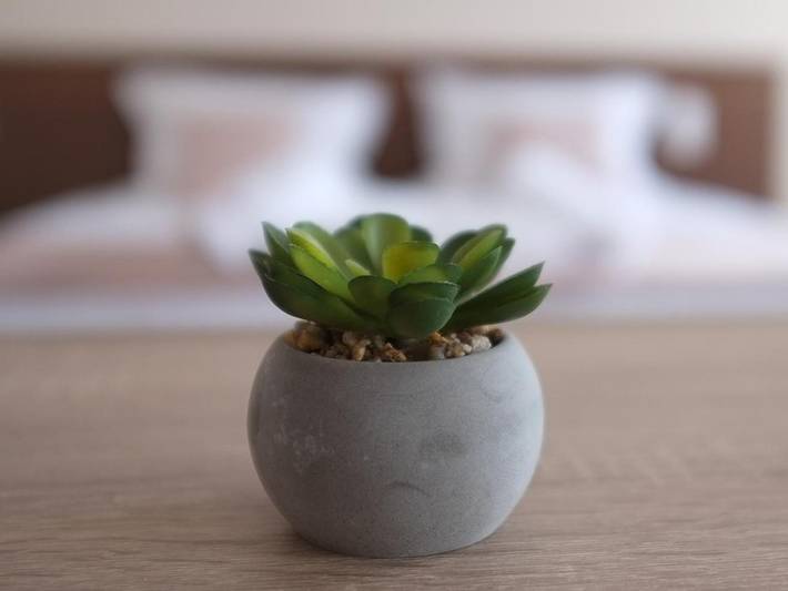 Hôtel pour 4 personnes, animaux acceptés dans Stara Zagora - 3