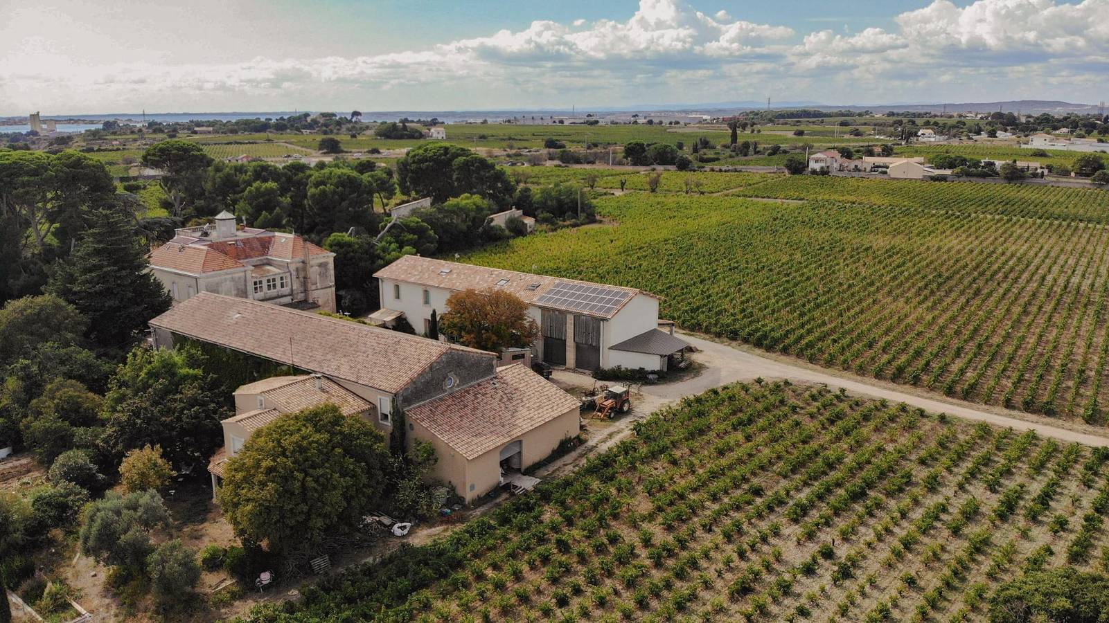 Kermès in Frontignan, Côte d'Améthyste