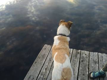 Lake House for 4 Guests in Minnesota, USA, Picture 4