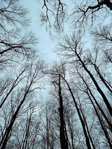 Cottage for 6 Guests in Hocking Hills, Vinton County, Picture 3