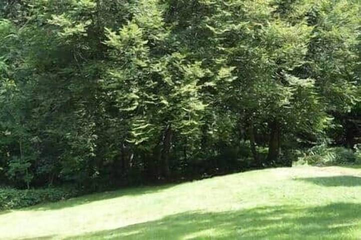 Ferienwohnung für 6 Personen, mit Balkon - 1