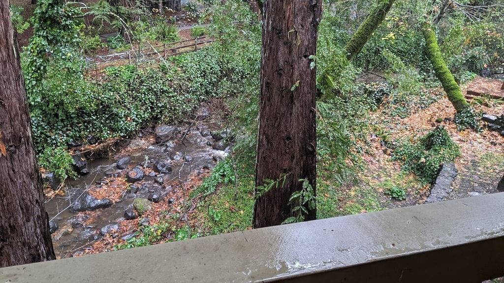 Cozy Woodland Escape, Hot Tub, Redwood + Water Views, mins from spas in Napa in California North Coast