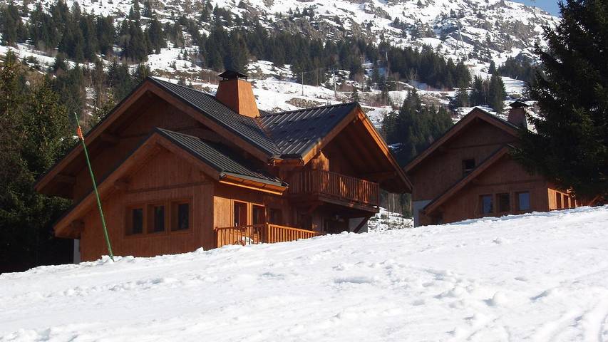 Chalet pour 8 personnes, avec piscine ainsi que jardin et terrasse, animaux acceptés à Vaujany