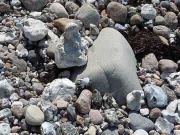 Ferieudlejning til 4 Personer i Havnsø, Nordwestseeland, Billede 3