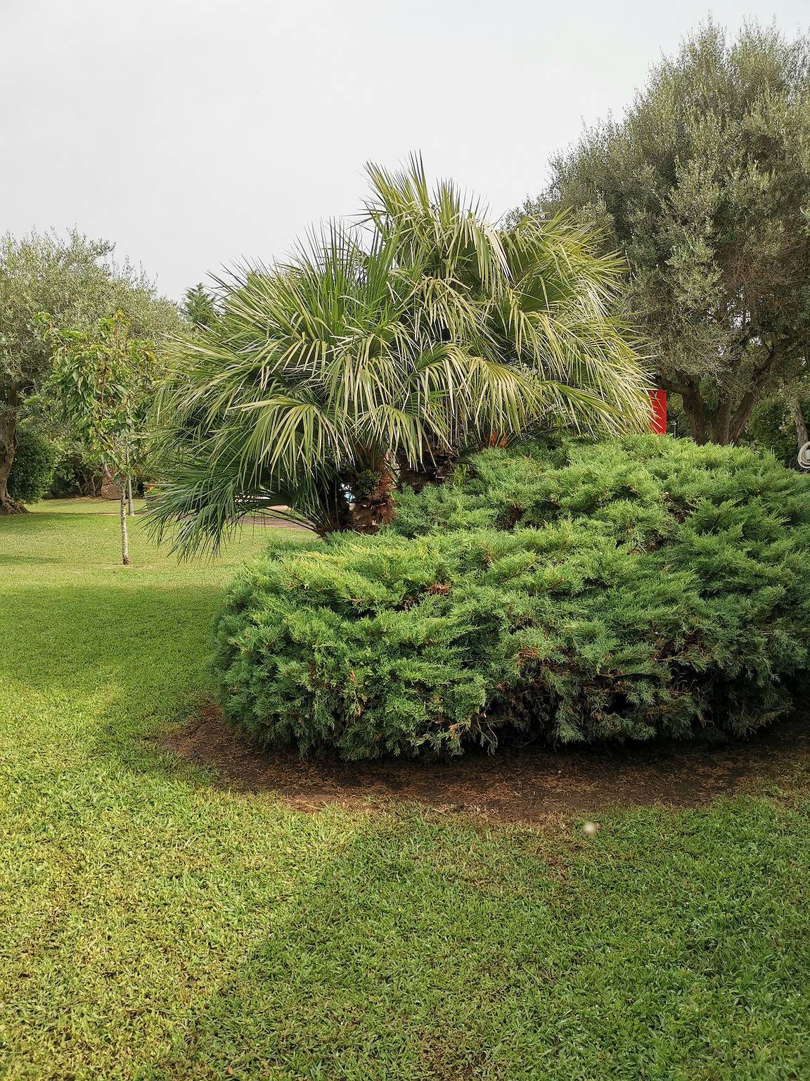 Ganze Wohnung, Appartement 'Corbezzolo, Alghero' mit Gemeinschaftspool, Wlan und Klimaanlage in Sassari Provinz