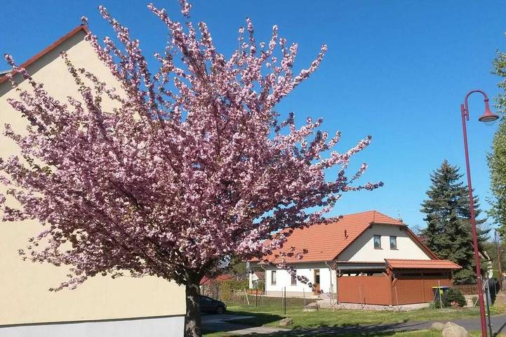Ferienwohnung für 4 Personen, mit Balkon und Garten in Großpösna