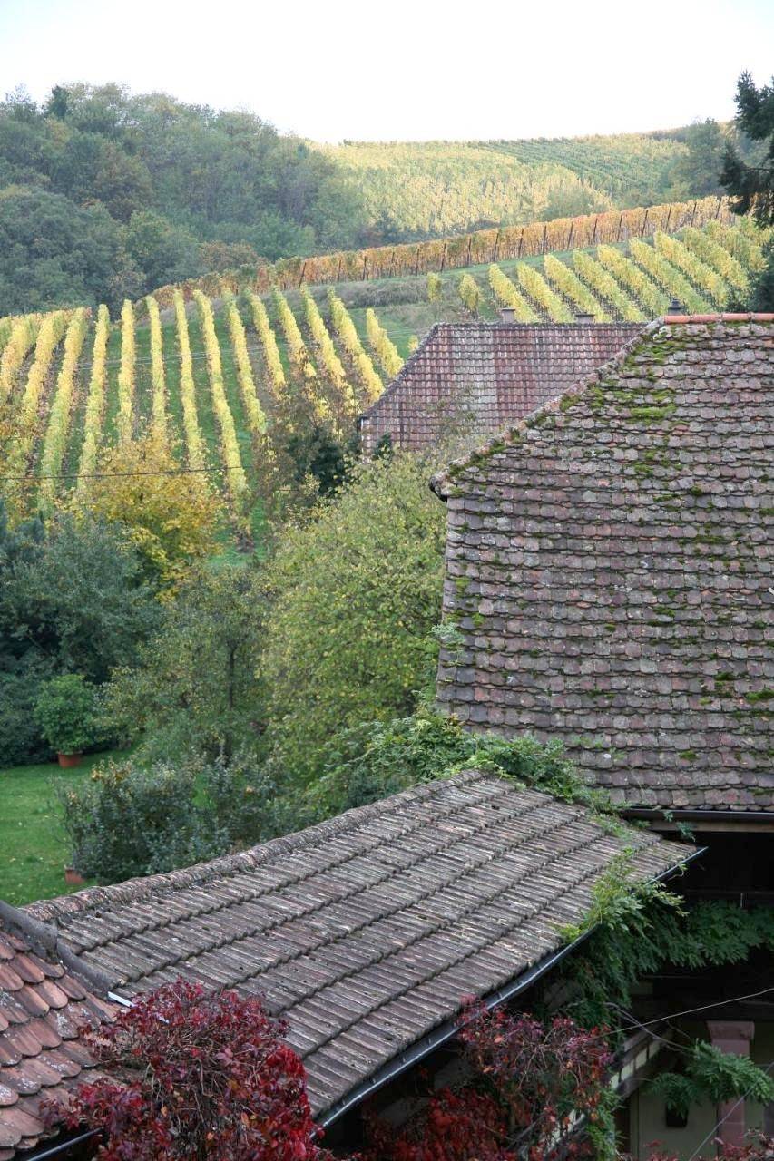Hôtel Pêche de Vigne Restaurant & Spa in Rodern, Parc naturel régional des Ballons des Vosges