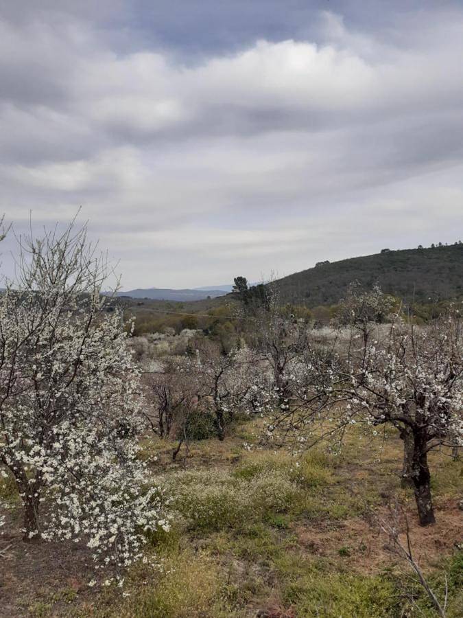 Casa rural para 8 personas, con vistas y terraza, Se admiten mascotas en Parque Natural de Las Batuecas - Sierra de Francia - 4