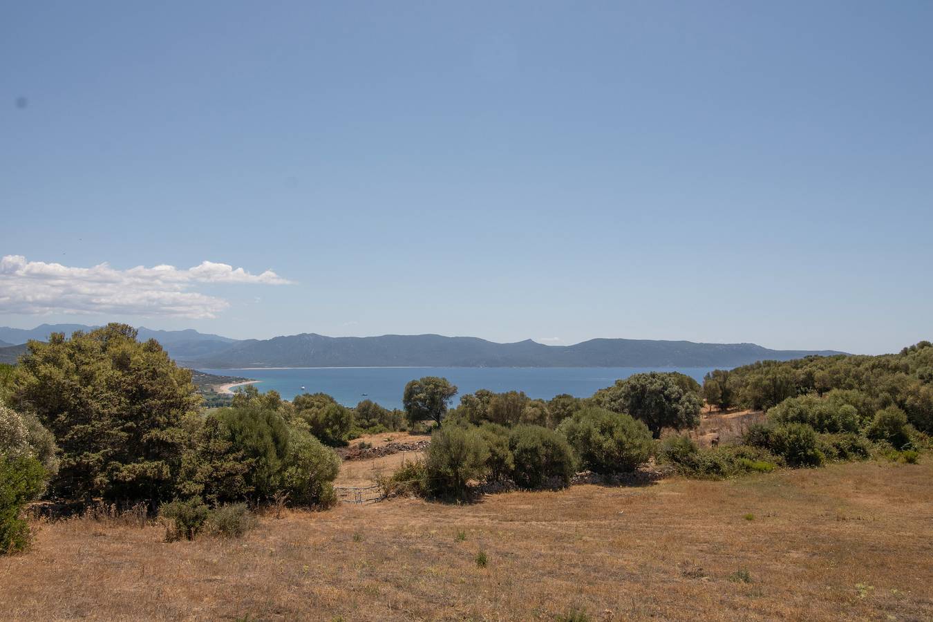 Apartamento entero, Apartamento 'Corse' con balcón y Wi-Fi in Serra-di-Ferro, Region de Ajaccio