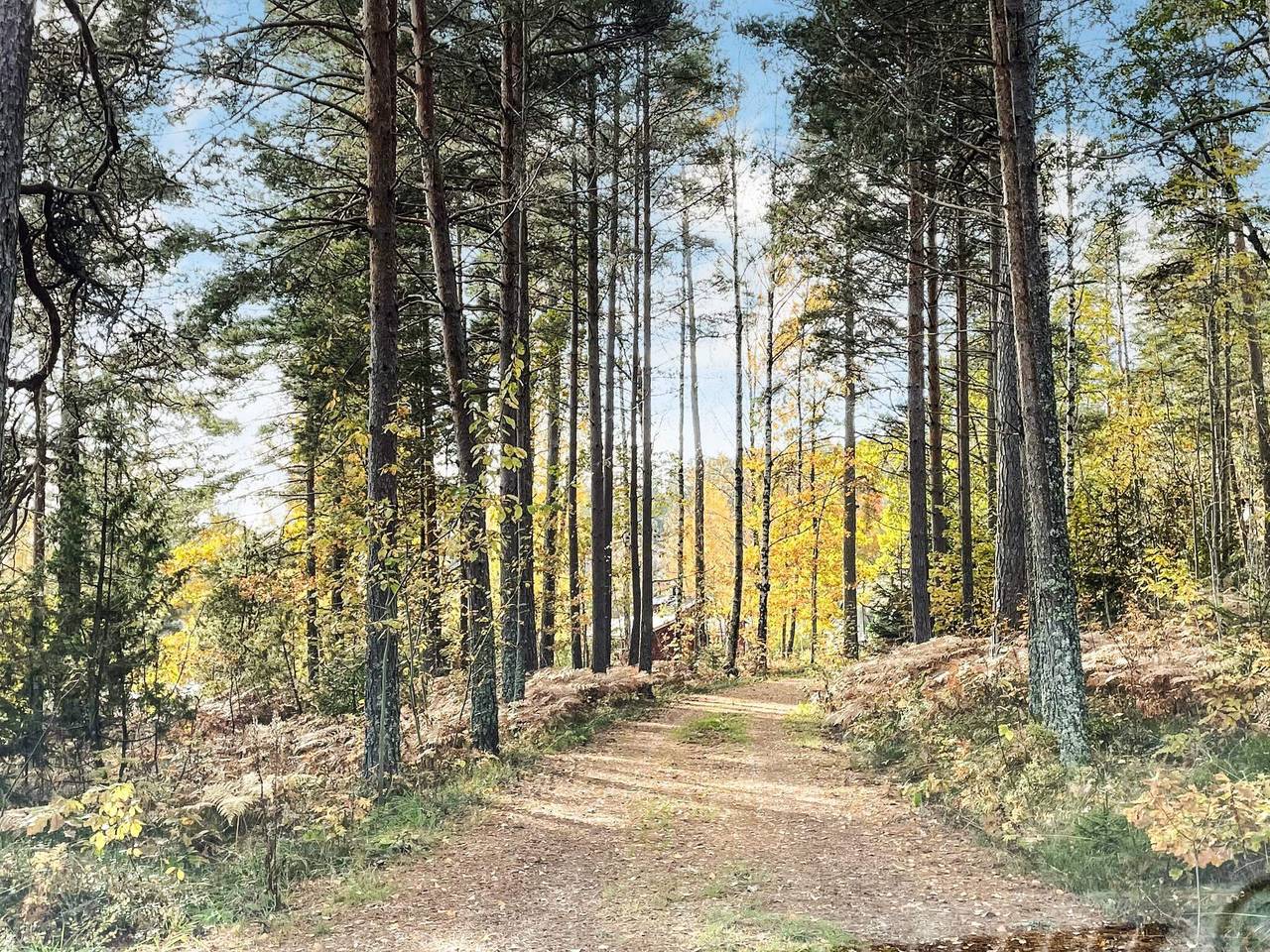 Lugnt skogshus i Dalsland in Åmål (Kommun), Vänern