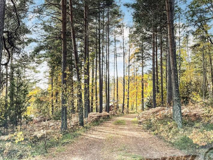 Lugnt skogshus i Dalsland in Åmål (Kommun), Vänern