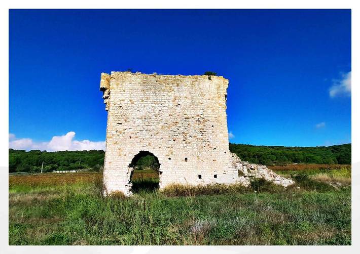Location de vacances pour 6 personnes, avec piscine ainsi que vue et jardin à Armissan
