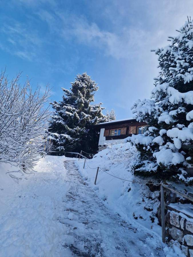 Gîte pour 7 personnes, avec jardin et vue à Trente - 2