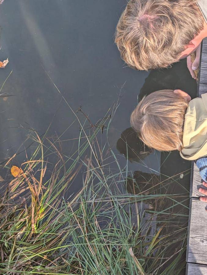 Location de vacances pour 8 personnes, avec vue et jardin, animaux acceptés dans Eberstein - 3