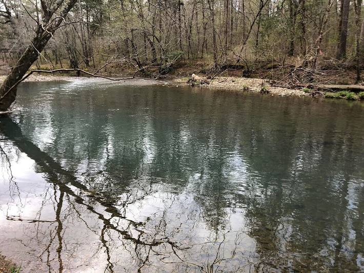Camping for 3 people in Arkansas