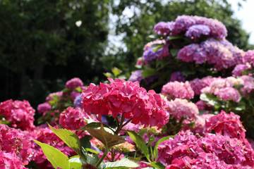 Gîte for 4 People in Juilley, Manche, Photo 4