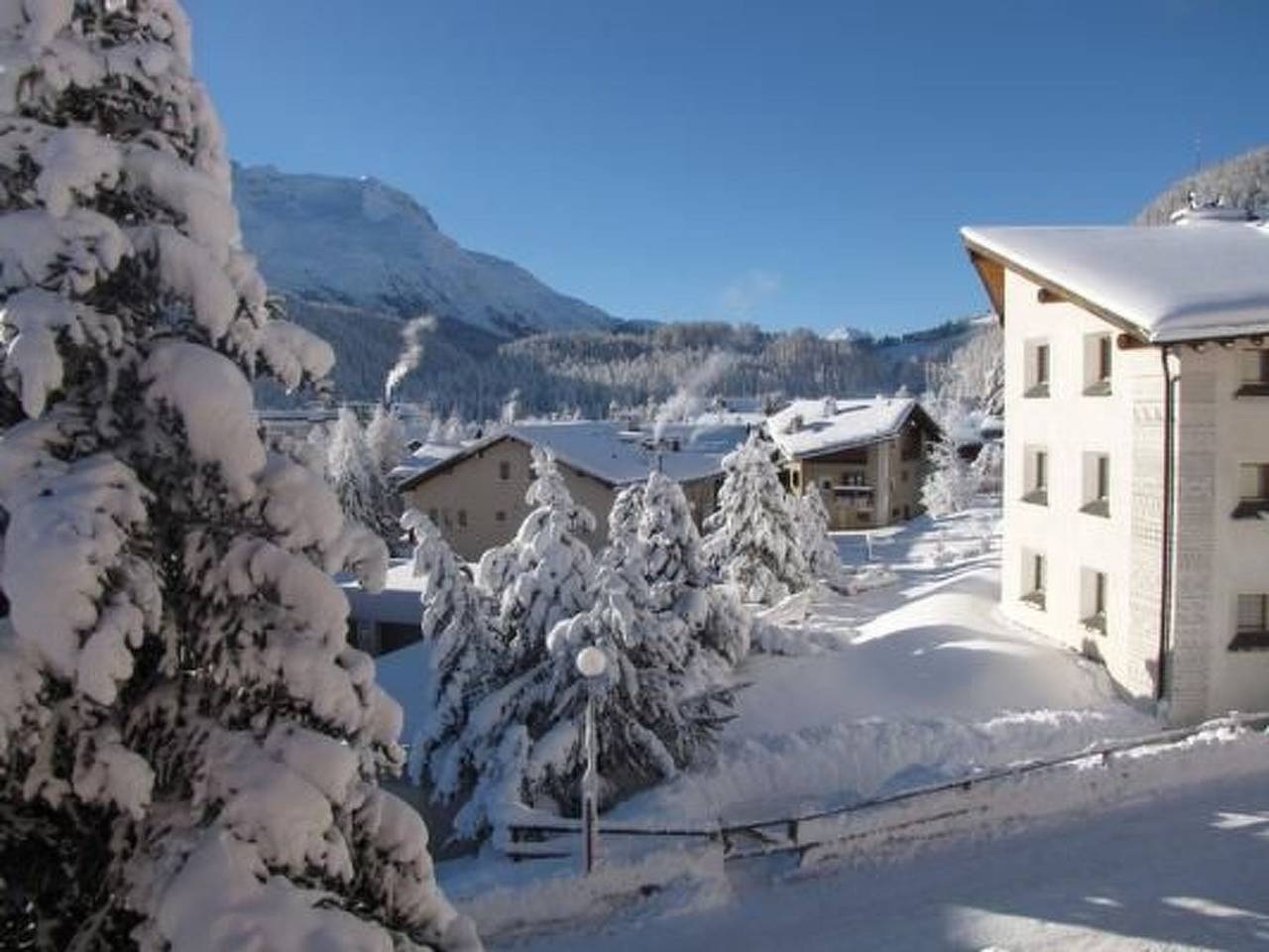 Ganze Wohnung, Celerina Chesa Aivla in Celerina, Sankt Moritz