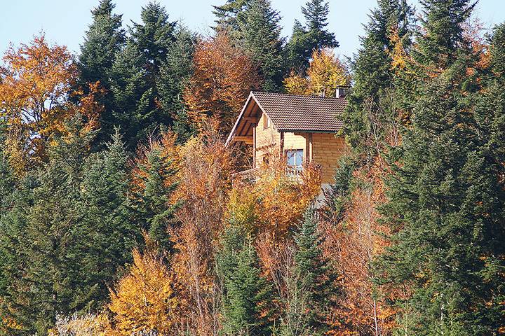 Gîte pour 6 personnes, avec terrasse, animaux acceptés à Bonnétage